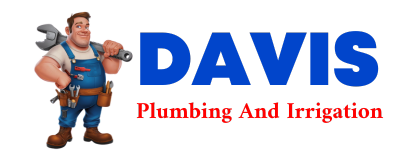 Trusted plumber in PINGREE